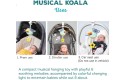 Thumbnail of taf-toys-musical-koala_780847.jpg
