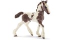 Thumbnail of tinker-foal-13774_498008.jpg