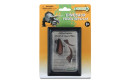 Thumbnail of tooth---foot-claw-of-velociraptor-in-display-case_695286.jpg