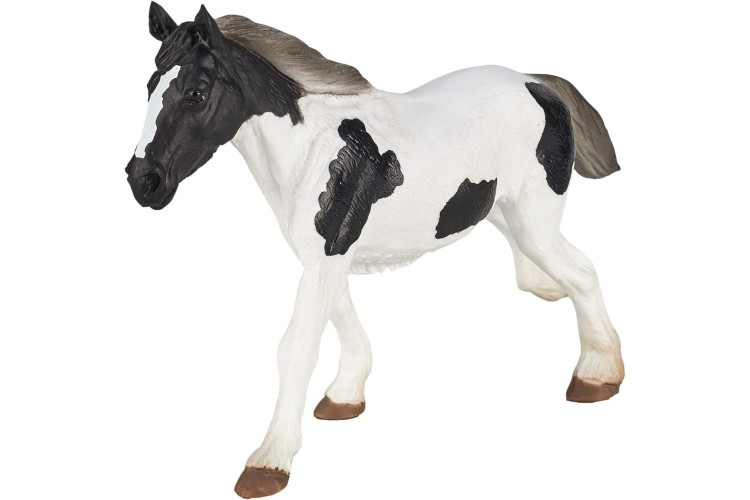 MOJO Irish Cob Yearling