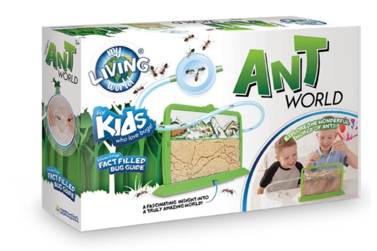 Ant World My Living World