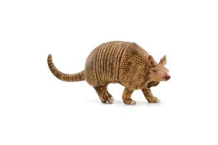 Armadillo by Schleich 14874
