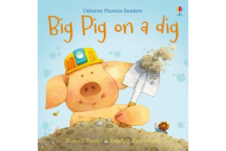 BIG PIG ON A DIG PHONICS BOOK