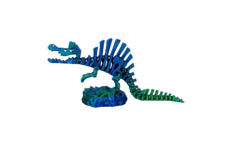 Blue Green 3D Printed Spine with base