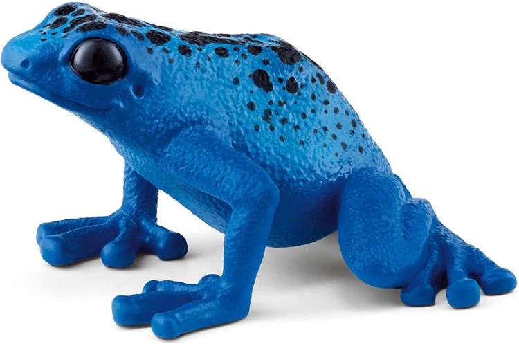 Blue Poison Dart Frog 14864