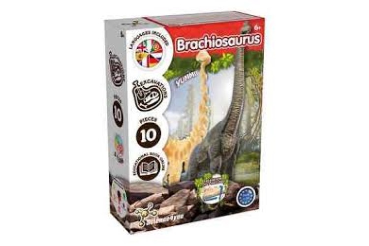Brachiosaurus Fossil Excavation by Science4you
