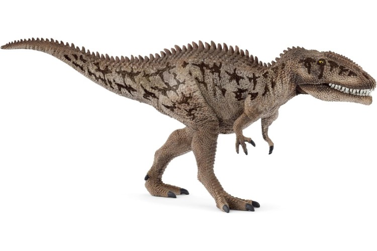 Carcharodontosaurus 15048