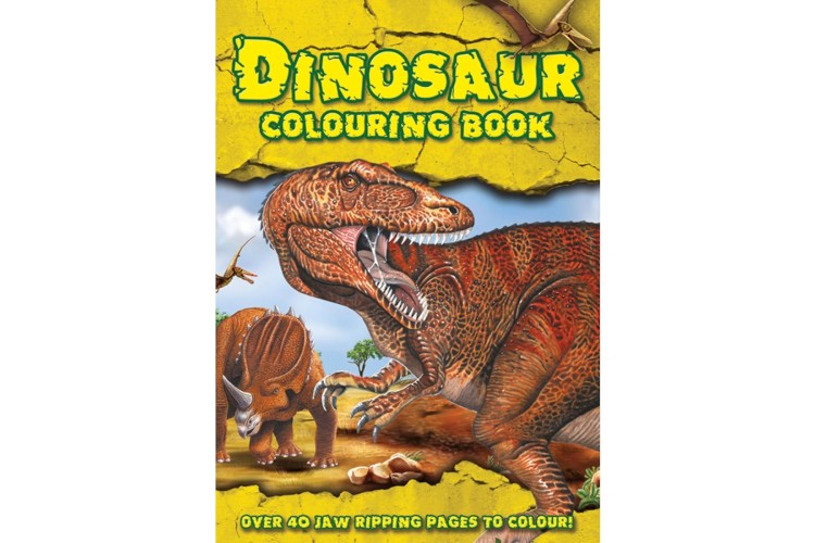 DINOSAUR COLOURING BOOK