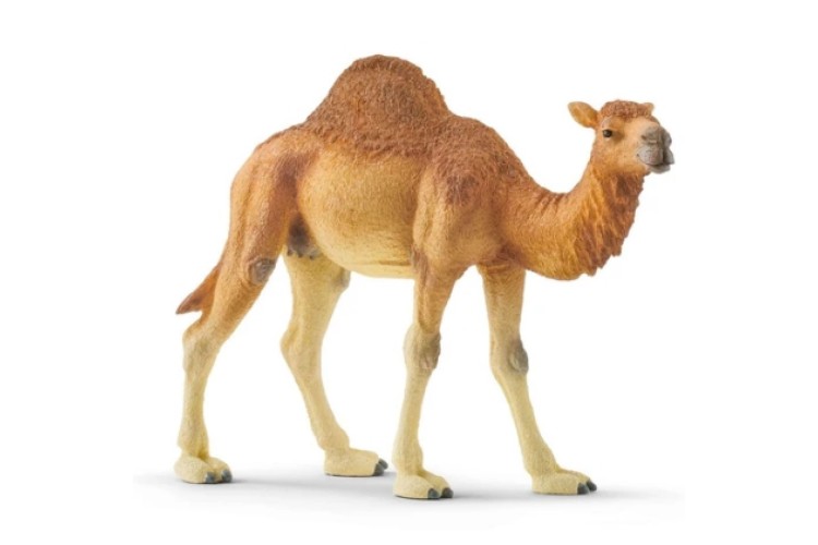 Dromedary 14832 by Schleich