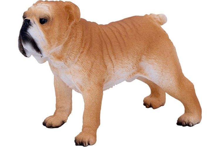 MOJO English Bulldog 381053