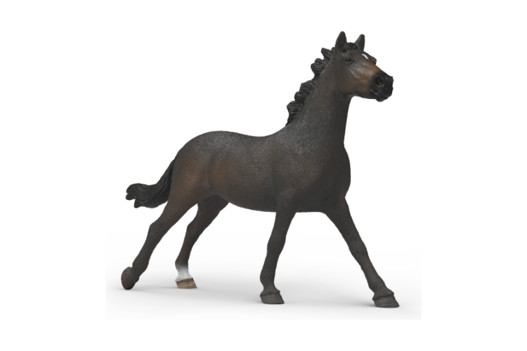 English Thoroughbred Mare 14914