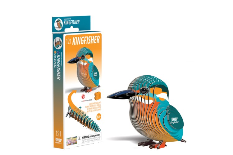 Eugy Kingfisher