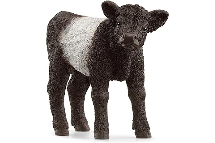 Galloway Calf by Schleich 13969