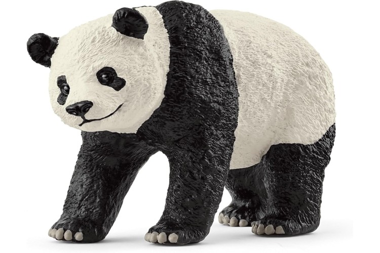 Giant Panda 14885