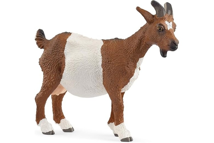 Goat 14887