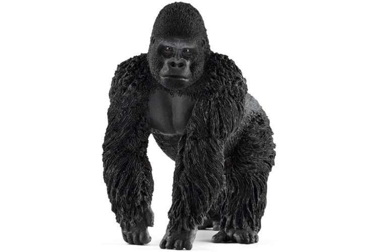Gorilla, male 14770