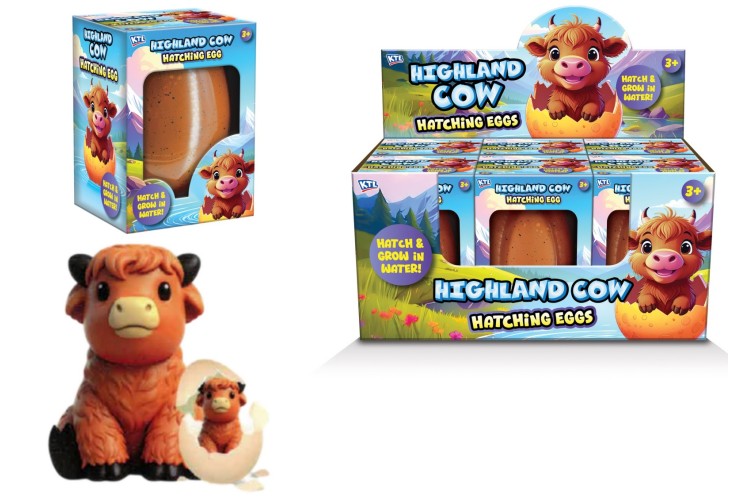 Growing Highland Cow In Colour Box