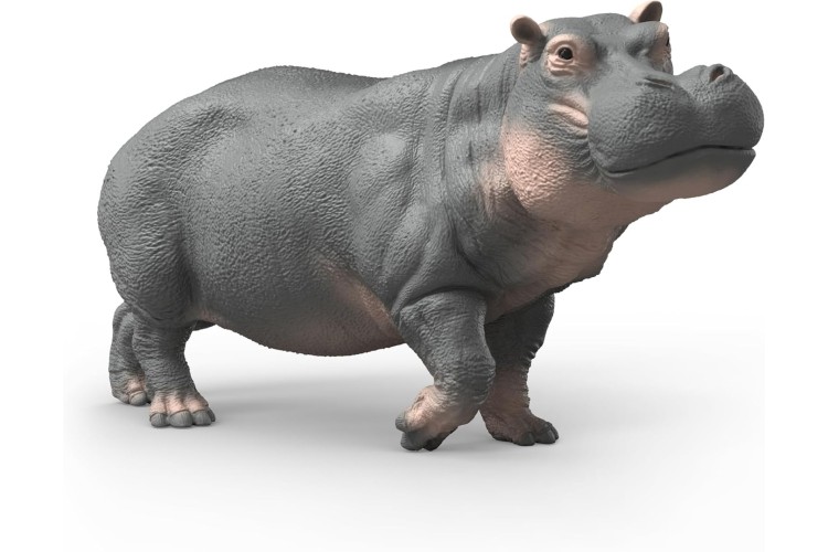 Hippopotamus 14938