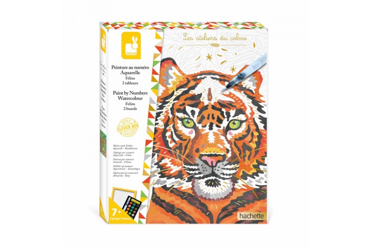 Janod - Painting By Numbers Watercolour Felines