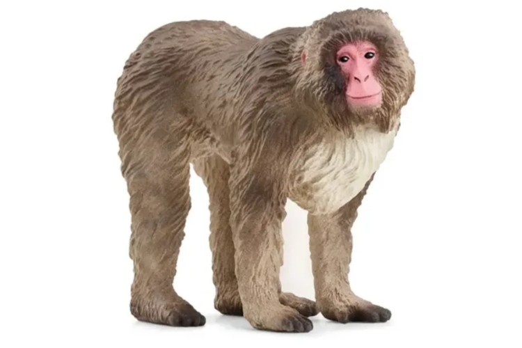 Japanese Macaque by Schleich 14871