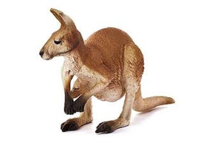 Kangaroo By Schleich
