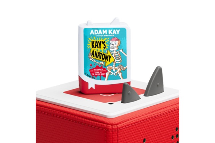 Kay's Anatomy Adam Kay