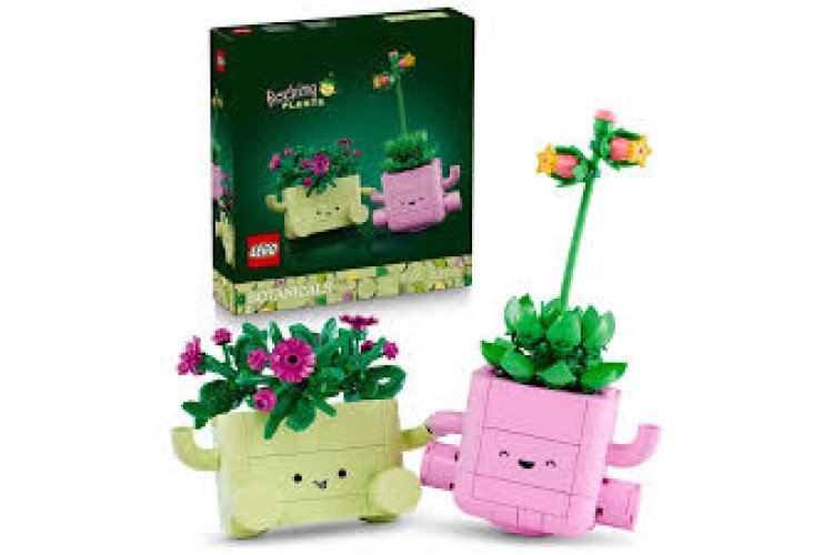 LEGO Botanicals Rocking Plants 11506