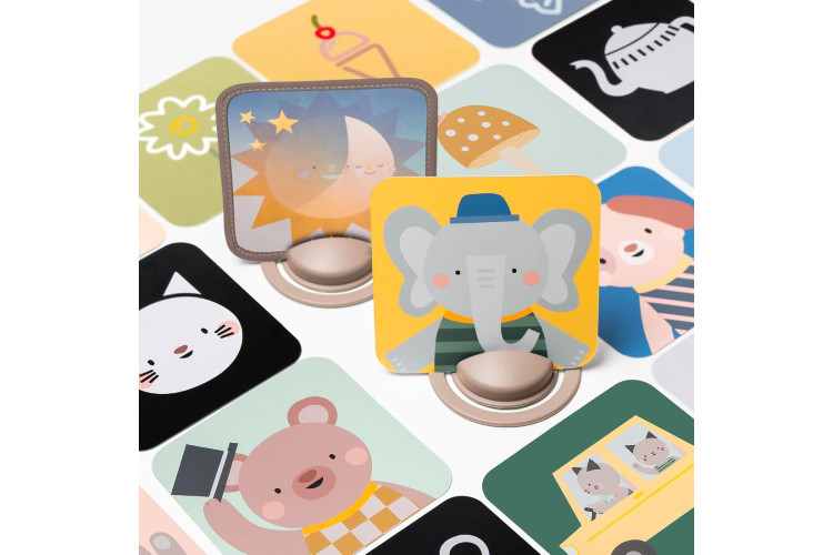 Taf Toys My 1st Discoveries Flash Cards