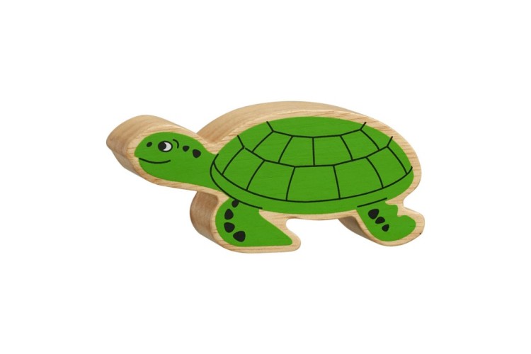 Natural green turtle by Lanka Kade