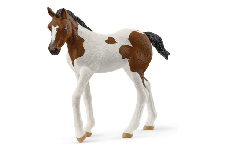 Schleich - Paint Horse Foal 14899