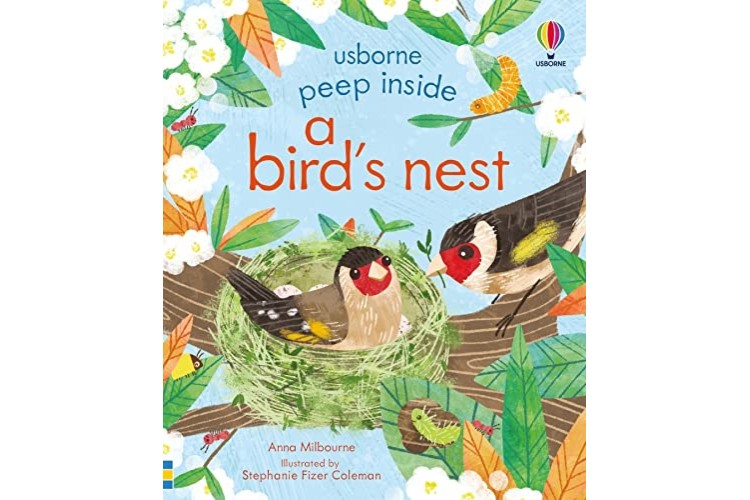 Peep inside A bird's Nest