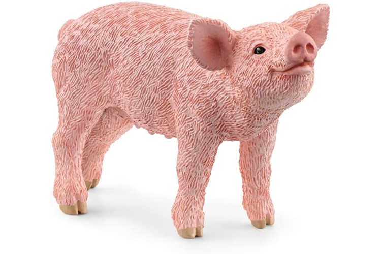  Piglet 13934 