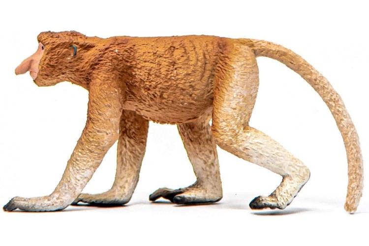 PROBOSCIS MONKEY 14846