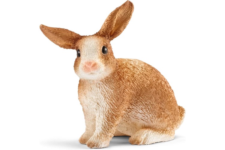 Rabbit 13827