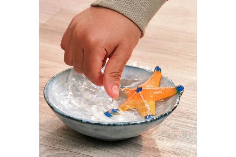Schleich - Starfish with color change 14902