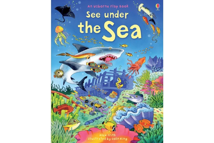 See under the Sea Usborne Book