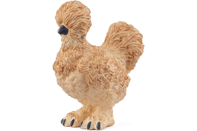 Silkie Chicken 14891