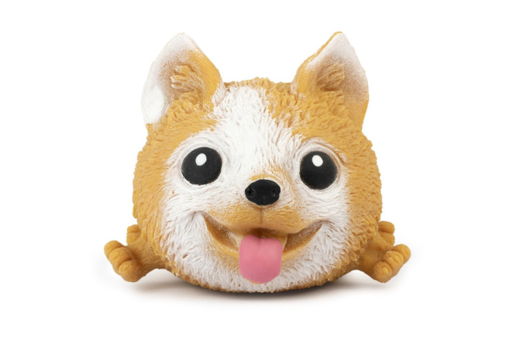 Squidgy Pooch