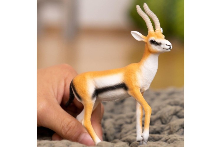 Thomson Gazelle 14861