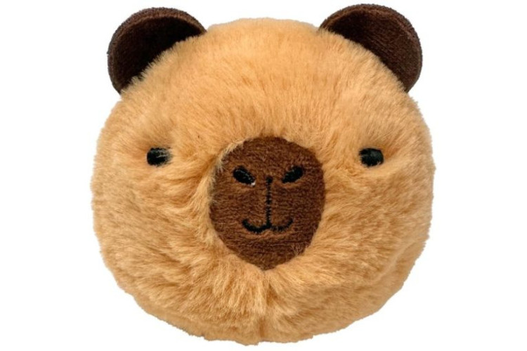 Ty  Beanie Bouncer Barry Capybara