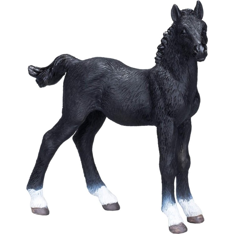  381000 Hanoverian Black Foal By Mojo