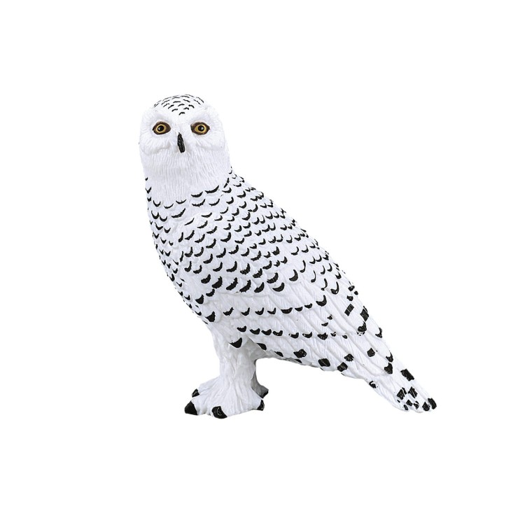 387201 Snowy Owl By Mojo