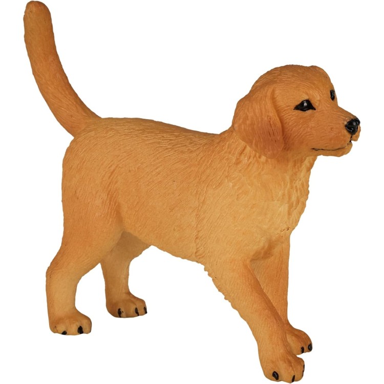  387205 Golden Retriever Puppy By Mojo