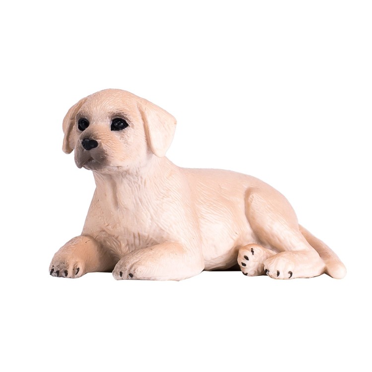  387272 Labrador Puppy By Mojo