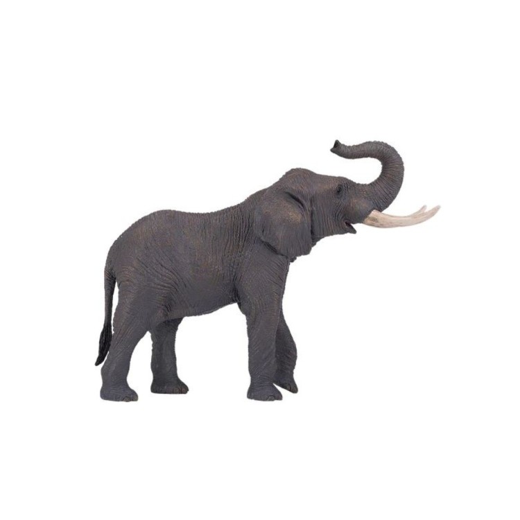 381005 African Bull Elephant By Mojo 