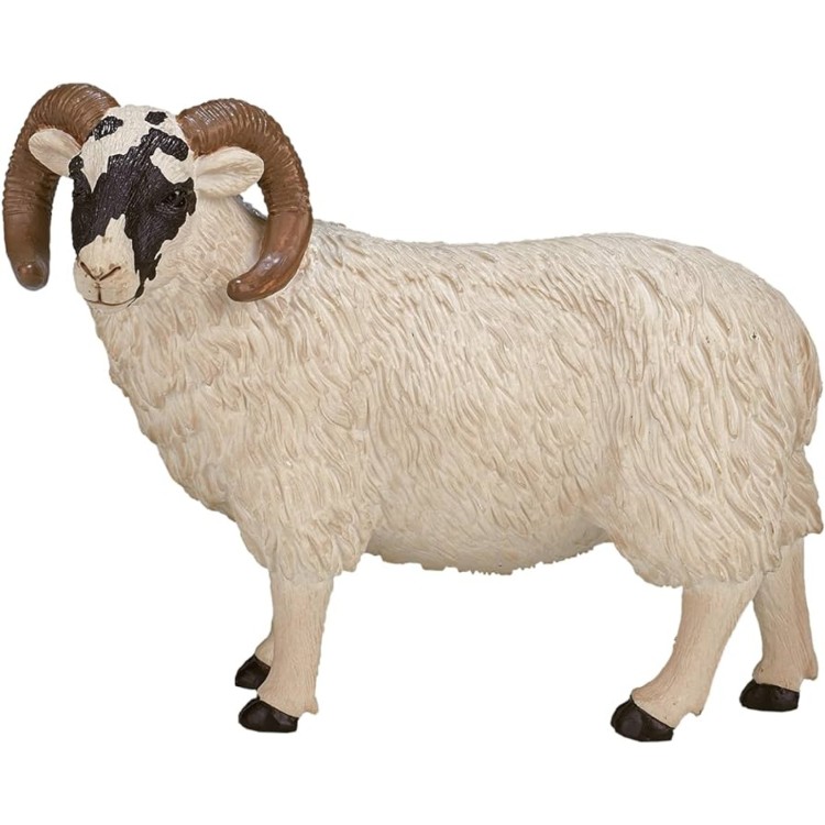 387081 Black Faced Sheep (Ram) By Mojo 