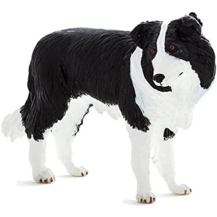 387203 Border Collie By Mojo