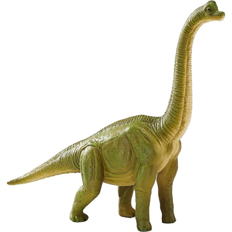 387212 Brachiosaurus Green Dinosaur MOJO