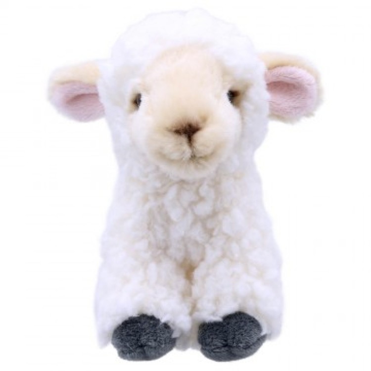 Lamb - Wilberry Mini Soft Toy WB005011