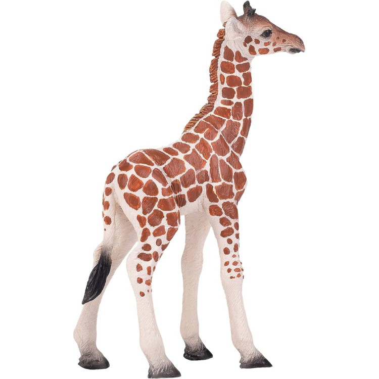 381034 Giraffe Calf By Mojo 